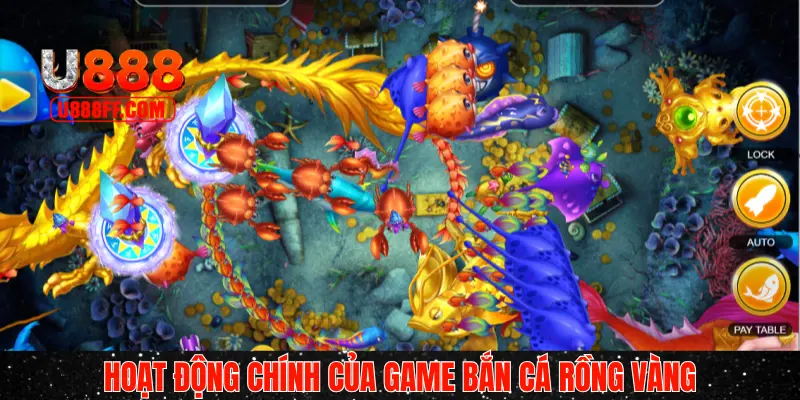 Những hoạt động và sự kiện chính khi đi tìm kho báu