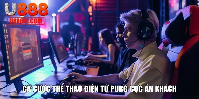 Cá cược thể thao điện tử PUBG cực ăn khách