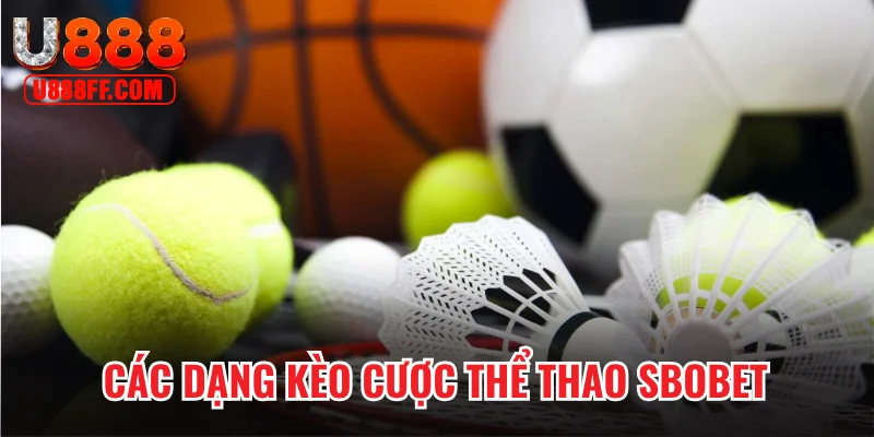 Các dạng kèo cược thể thao Sbobet