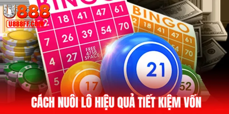 Diễn đàn có nhiều cách nuôi lô hiệu quả