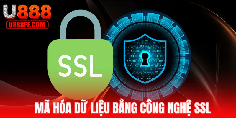 Mã hóa SSL an toàn trong chính sách