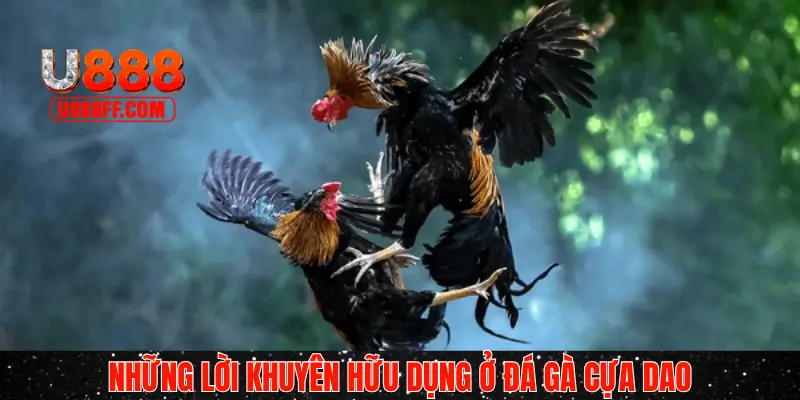 Một vài lời khuyên dành cho hội viên mới