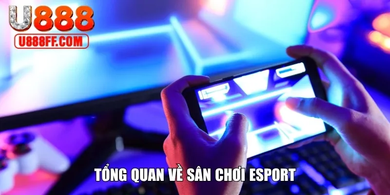 Tổng quan về sân chơi Esport