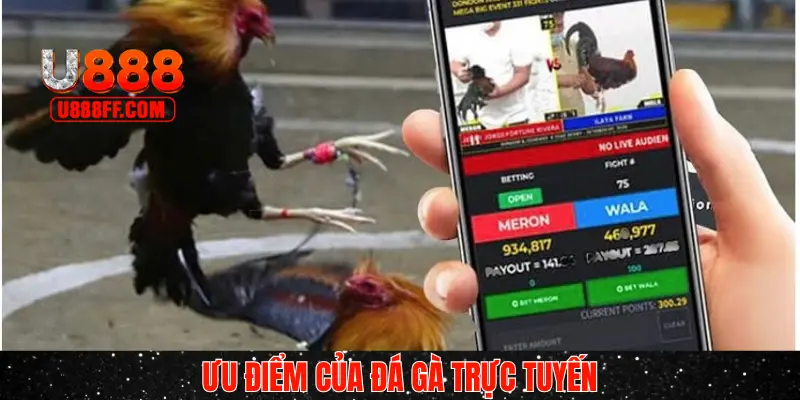 Một số lý do hội viên mê đá gà online